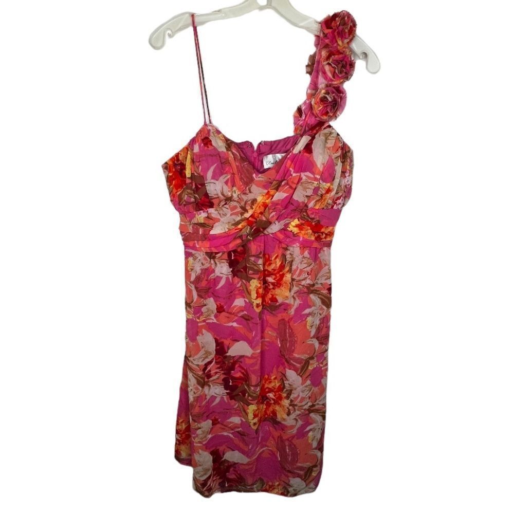 Olivia Matthews Dress nwt
